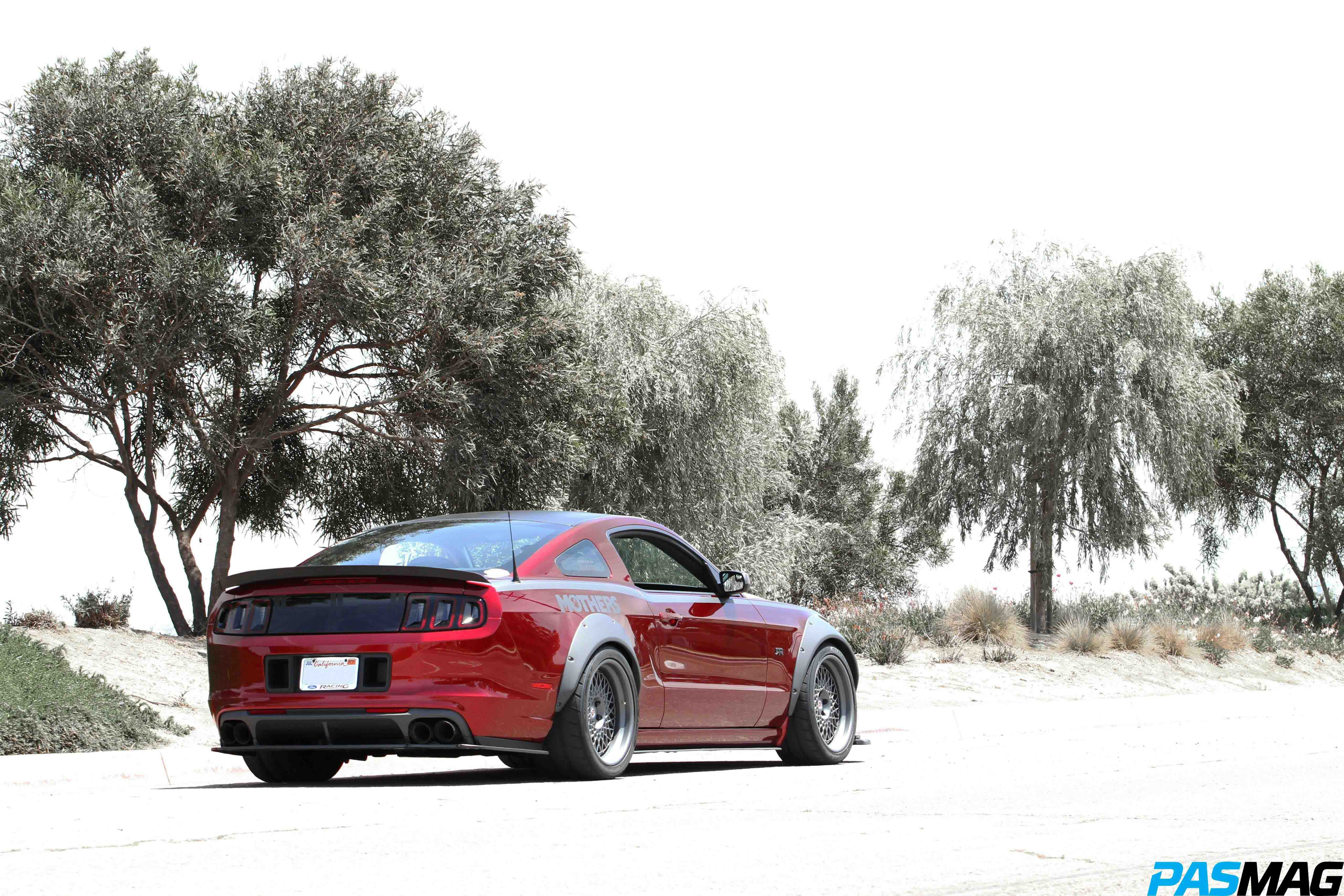 The Mother of All Mustangs
