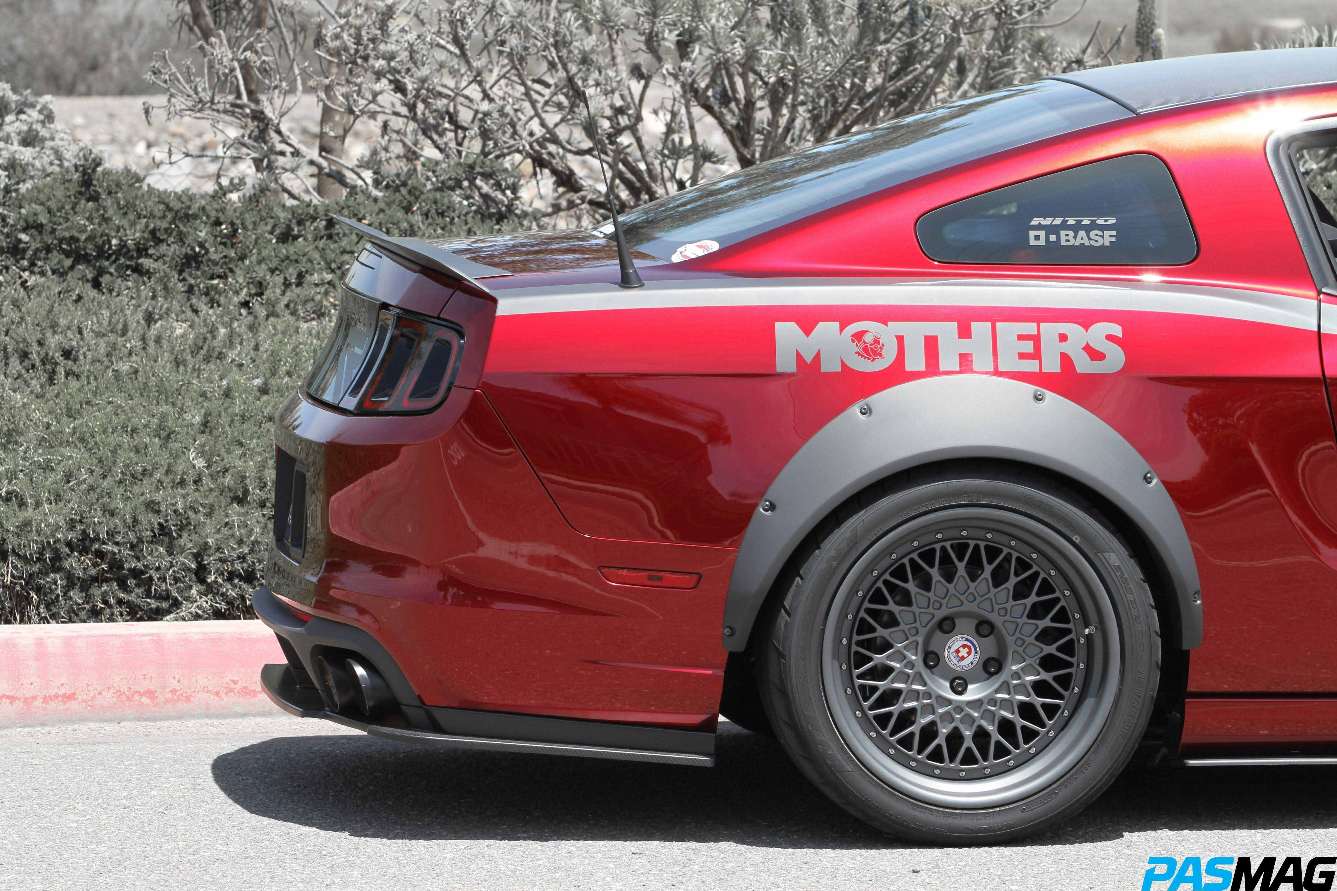 The Mother of All Mustangs