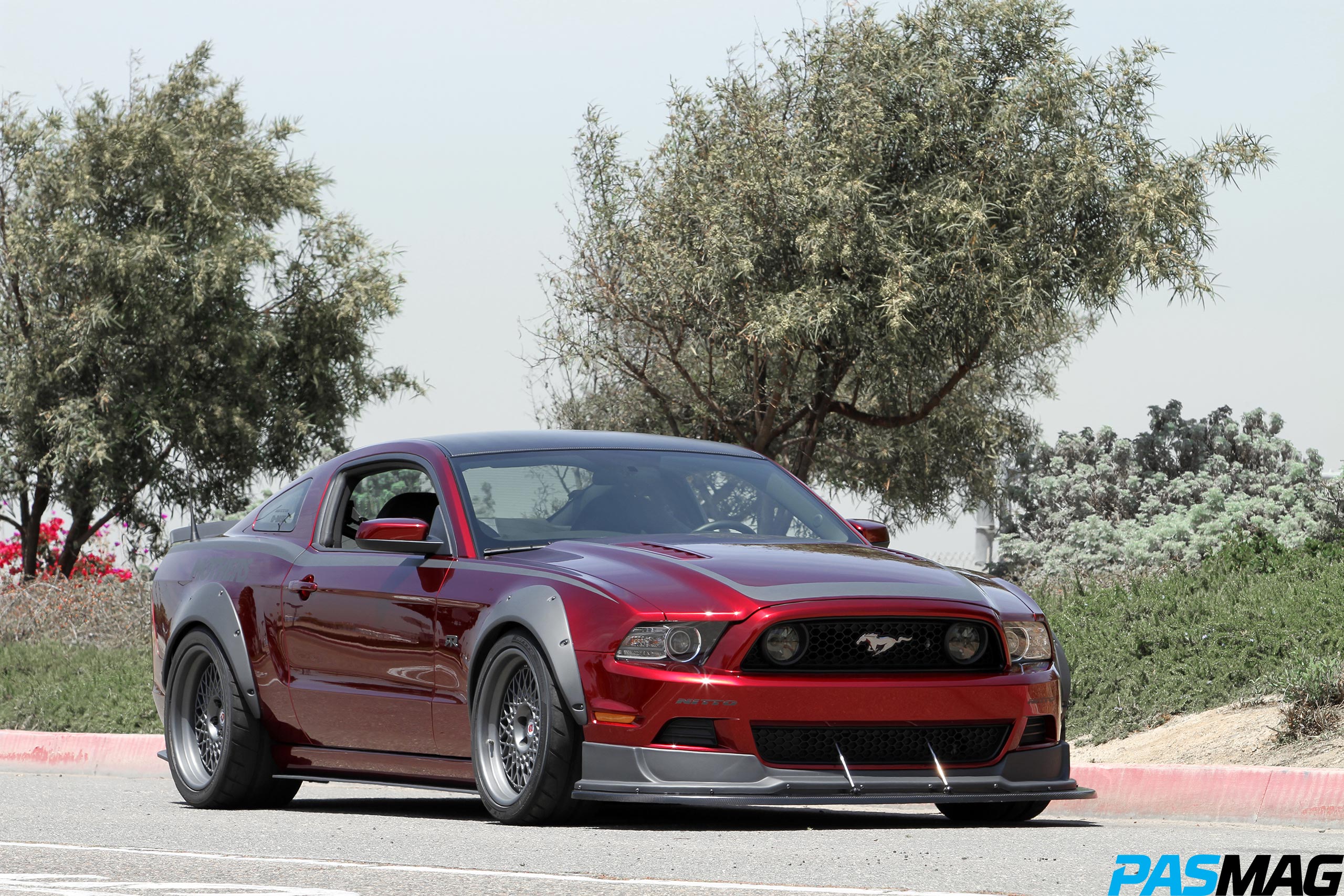The Mother of All Mustangs