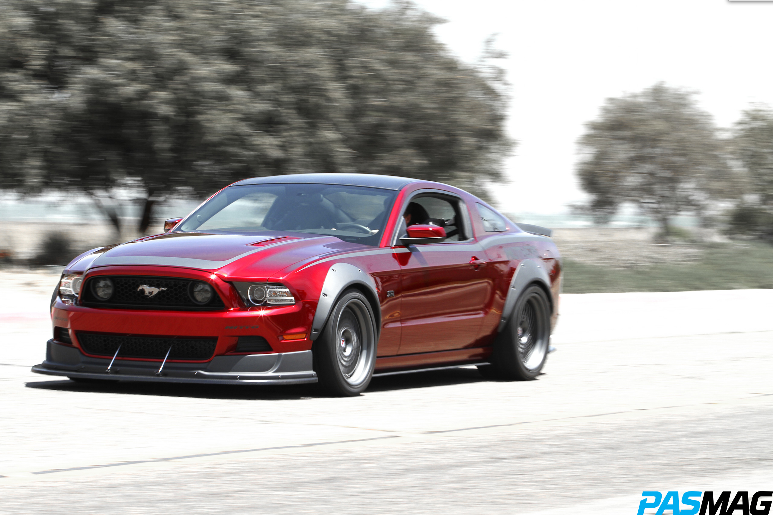 The Mother of All Mustangs