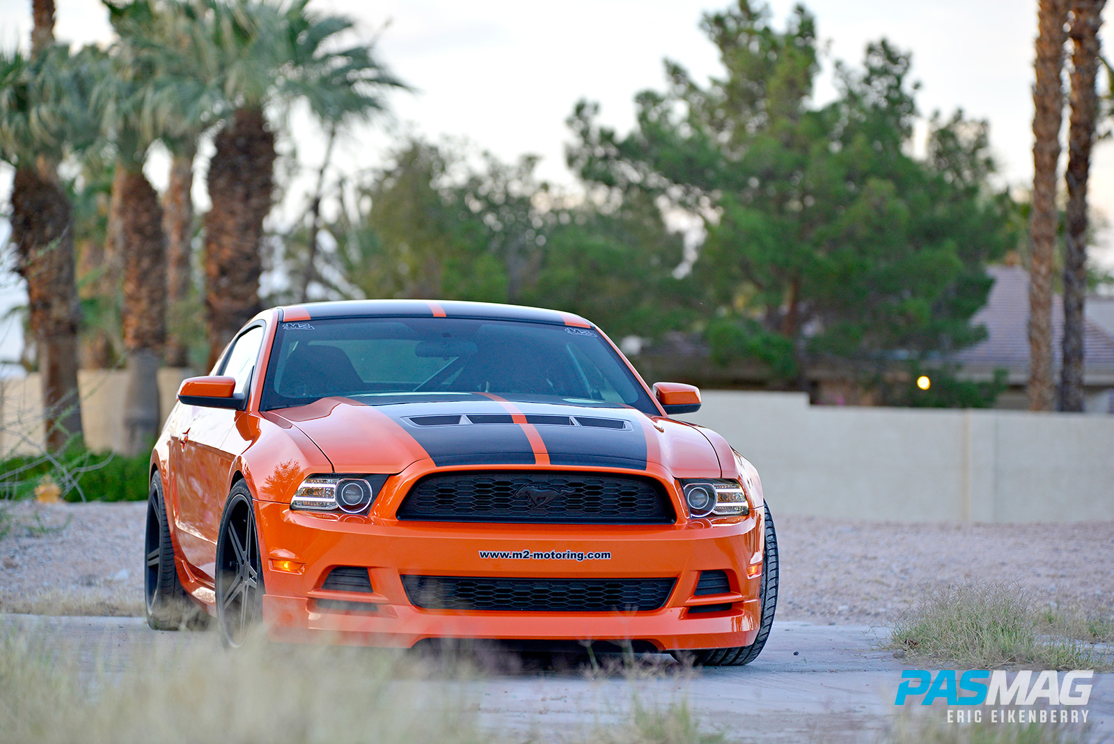 Model Behaviour: Michael Ma's 2013 Ford Mustang
