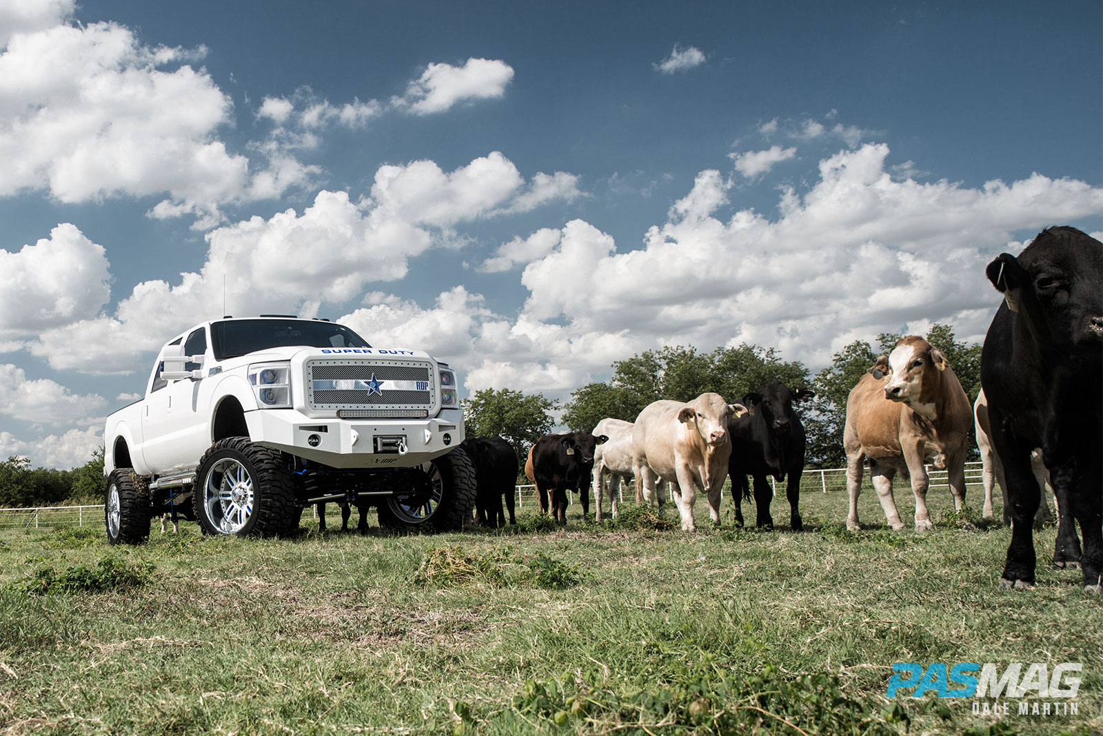 Big Country: Complete Customs Ford F-250