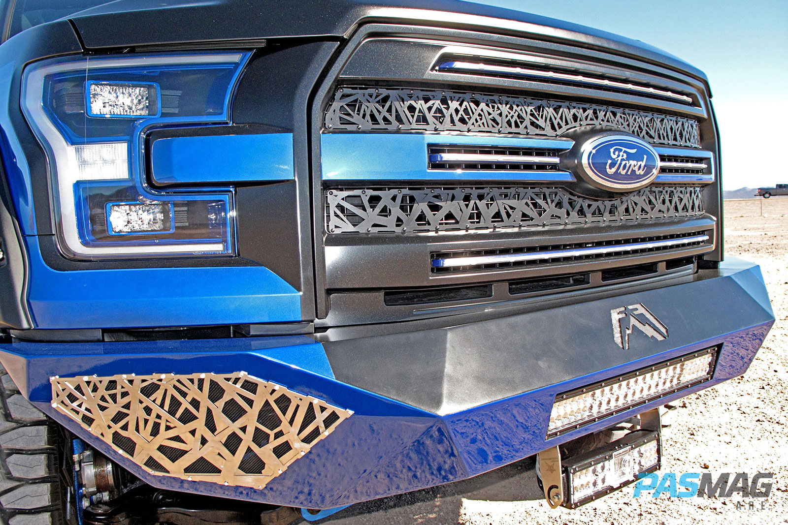 ARE 2015 Ford F150 Platinum PASMAG 3