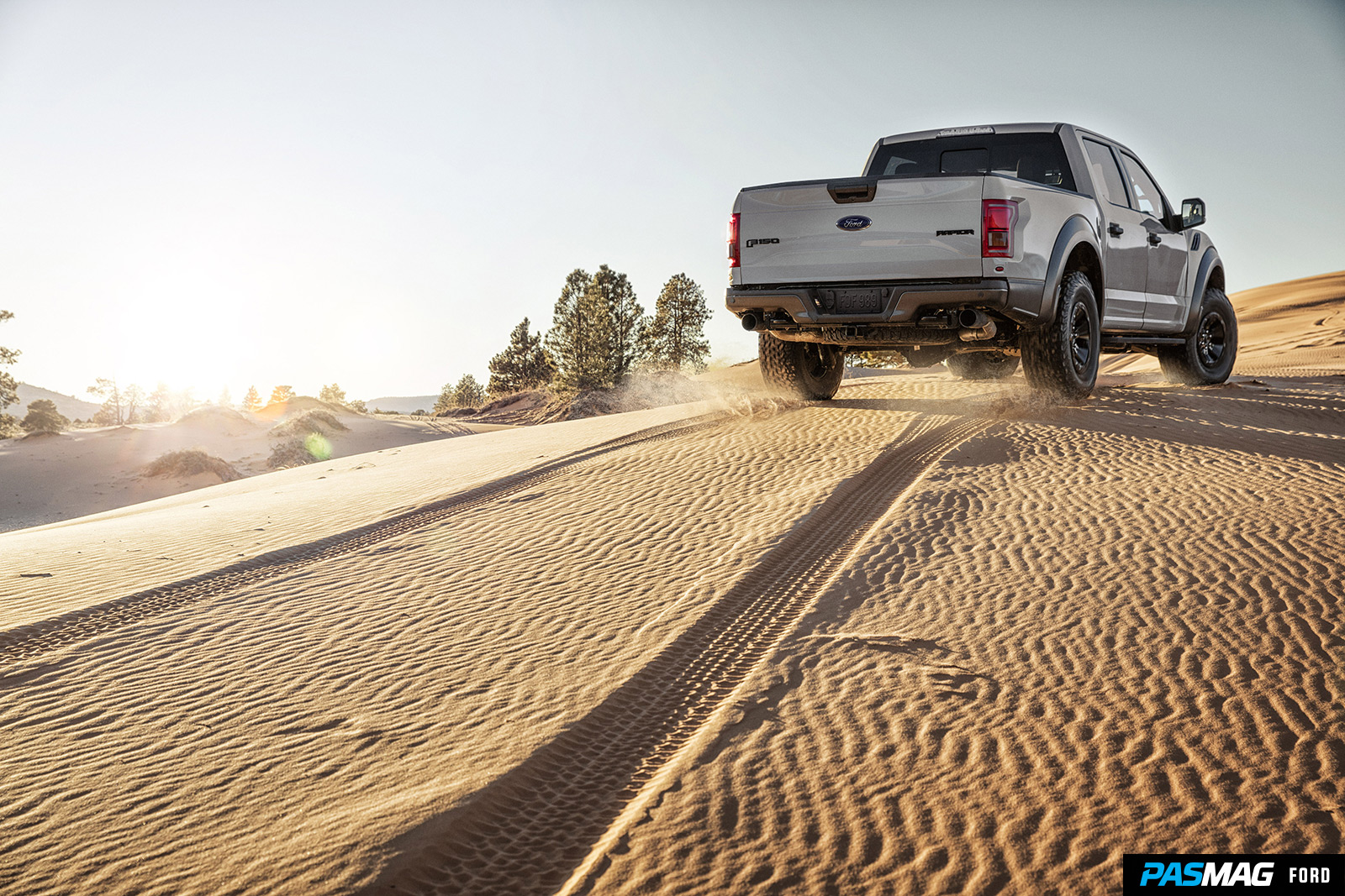 2017 Ford F150 Raptor 4
