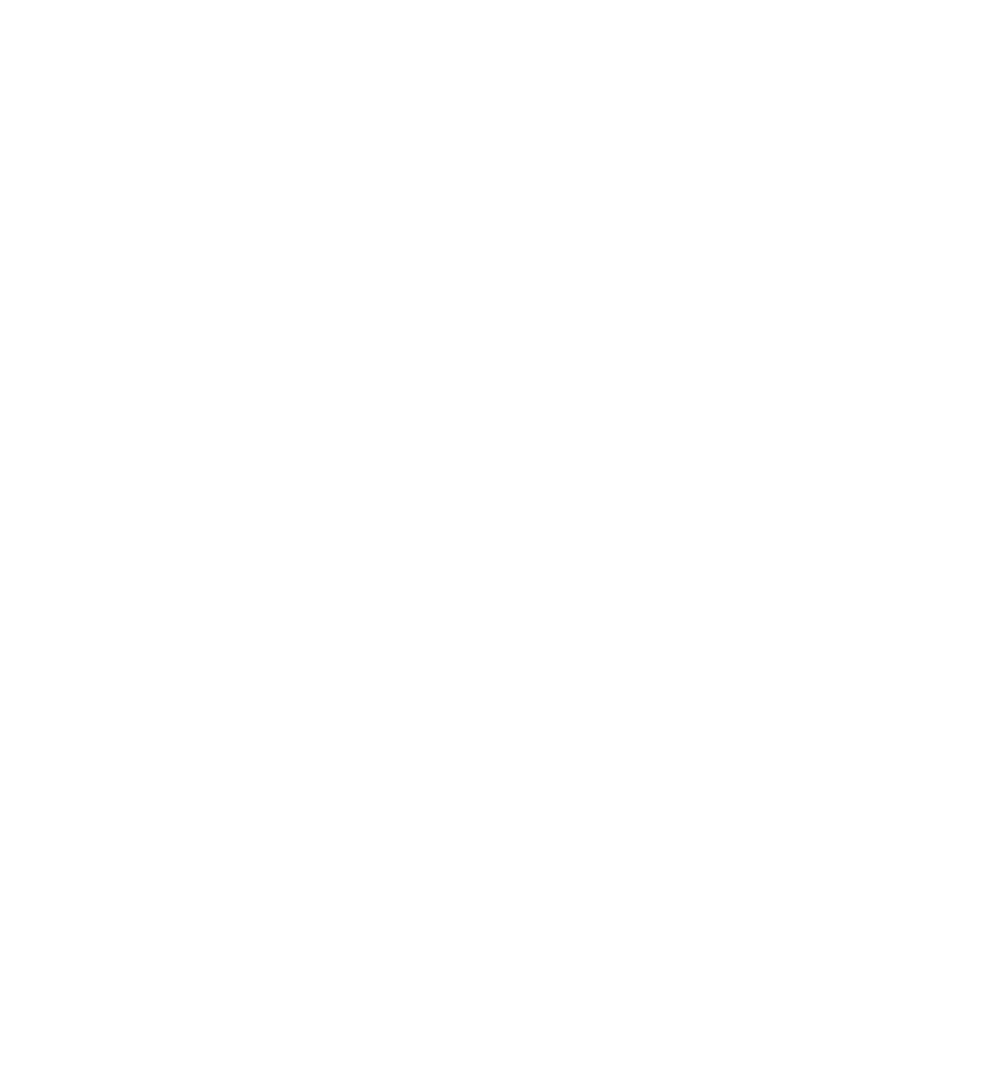 20Years PAS Logo White